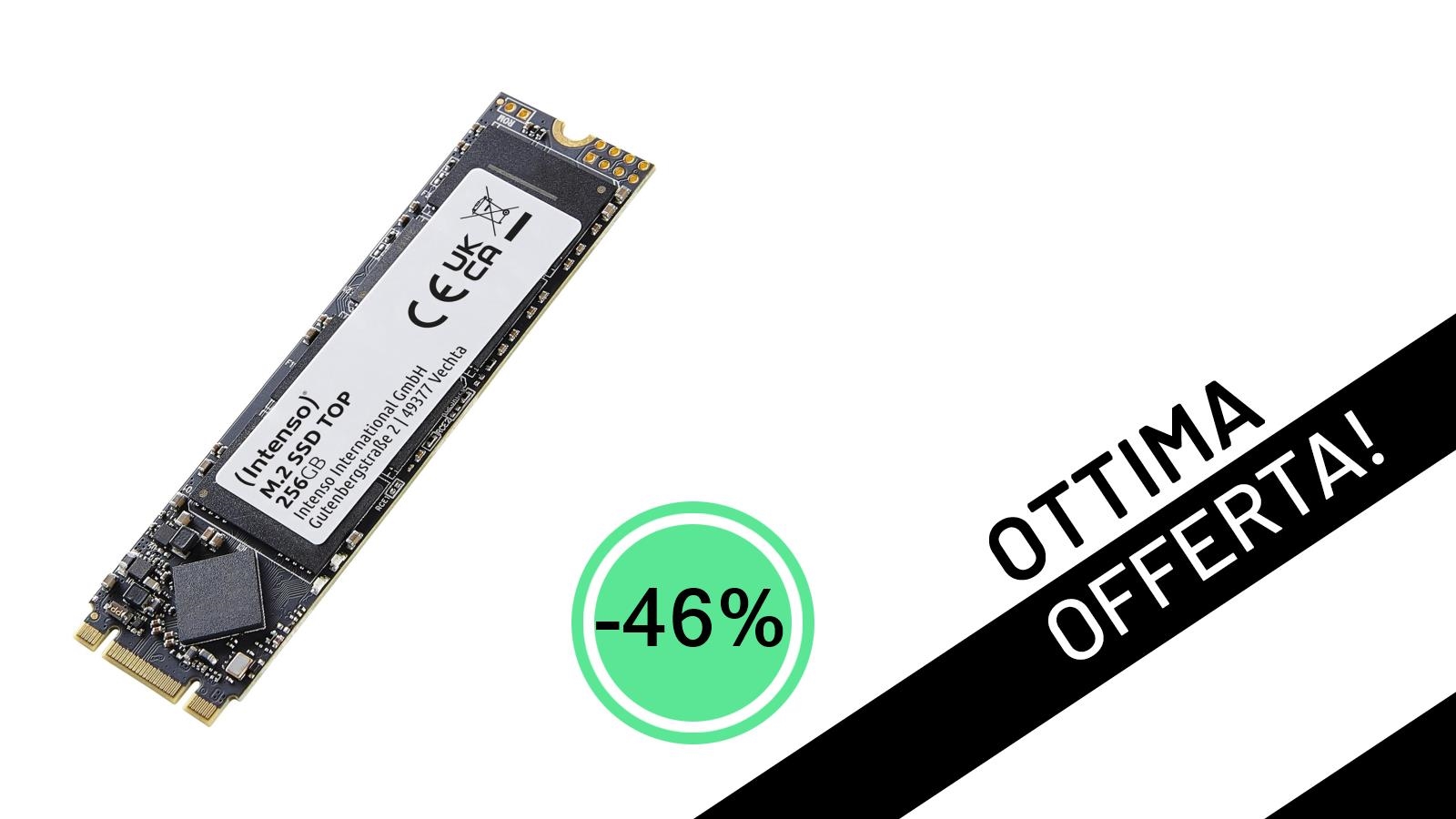 Offerta Lampo: L'SSD Intenso M.2 da 256GB crolla a soli 22,96€ con uno sconto del -46%!